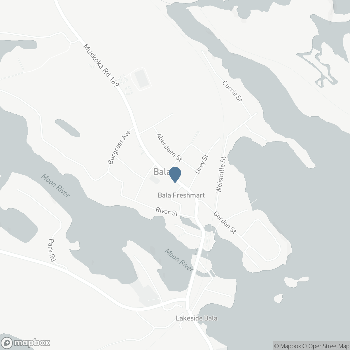 3160 MUSKOKA 169 ROAD, Bala, Ontario P0C 1A0